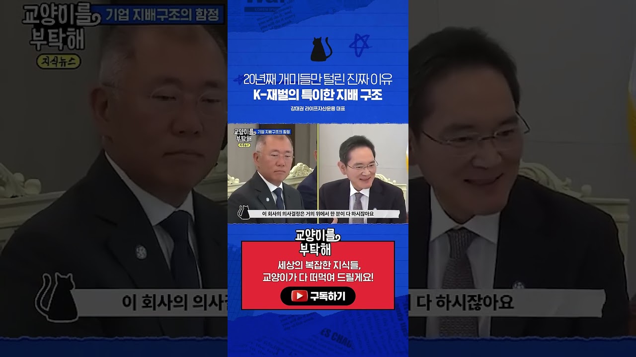 20년째 개미들만 털린 진짜 이유, K-재벌의 특이한 지배 구조 / 비디오머그 / 교양이를 부탁해