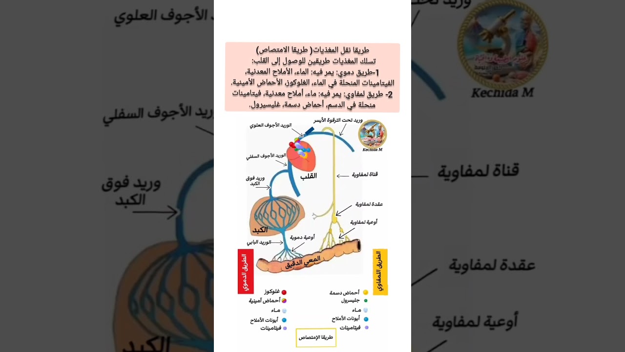 طريقا الامتصاص رابعة متوسط