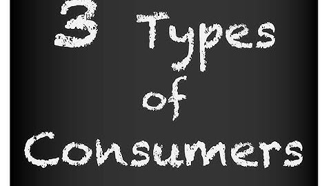 CC Cycle 2, 3 Types of Consumers