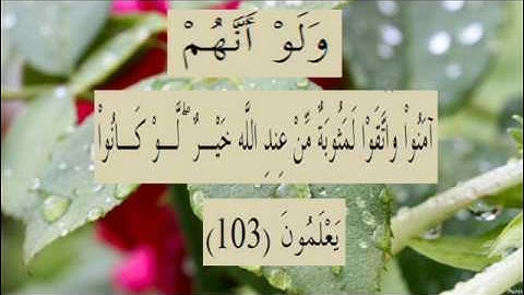 القران الكريم سورة البقرة الاية 103
