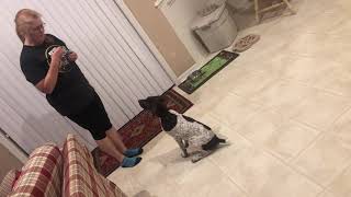 Dakota update clicker training 1   1/18/21