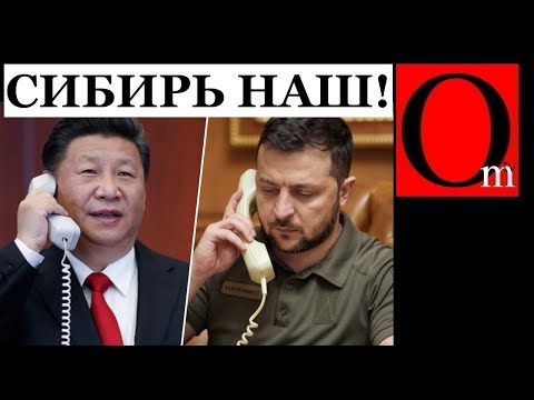 У путина истерика: Си Цзиньпинь позвонил Зеленскому и предложил сделку