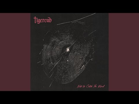 Tigercub - Fall In Fall Out