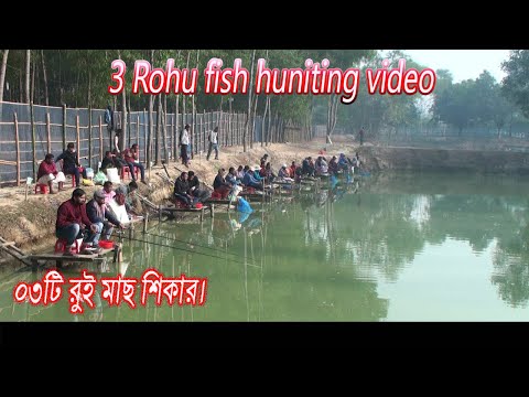 Big Fish catching Videos Compilation I Catching Rohu Fishes in village pond 🎣🎣🎣
