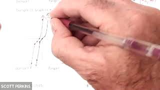 MAC 1105 section 2.2 final problems