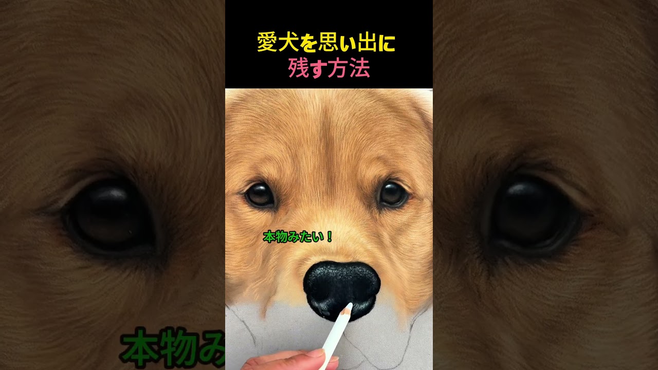 愛犬を思い出に残す方法