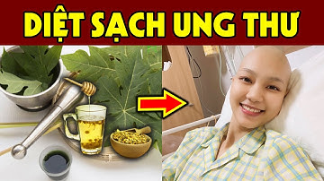 Y Học Vui Sướng Khi Phát Hiện 3 Cây Thuốc Nam Trị Sạch Ung Thư, Kể Cả Giai Đoạn Cuối