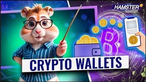 Crypto Wallets Explained: Custodial and NonCustodial Wallets⚡ Hamster Academy