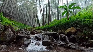 Relaxing River ASMR: Calming Water Sounds for Stress and Insomnia Relief | LuLu Sounds