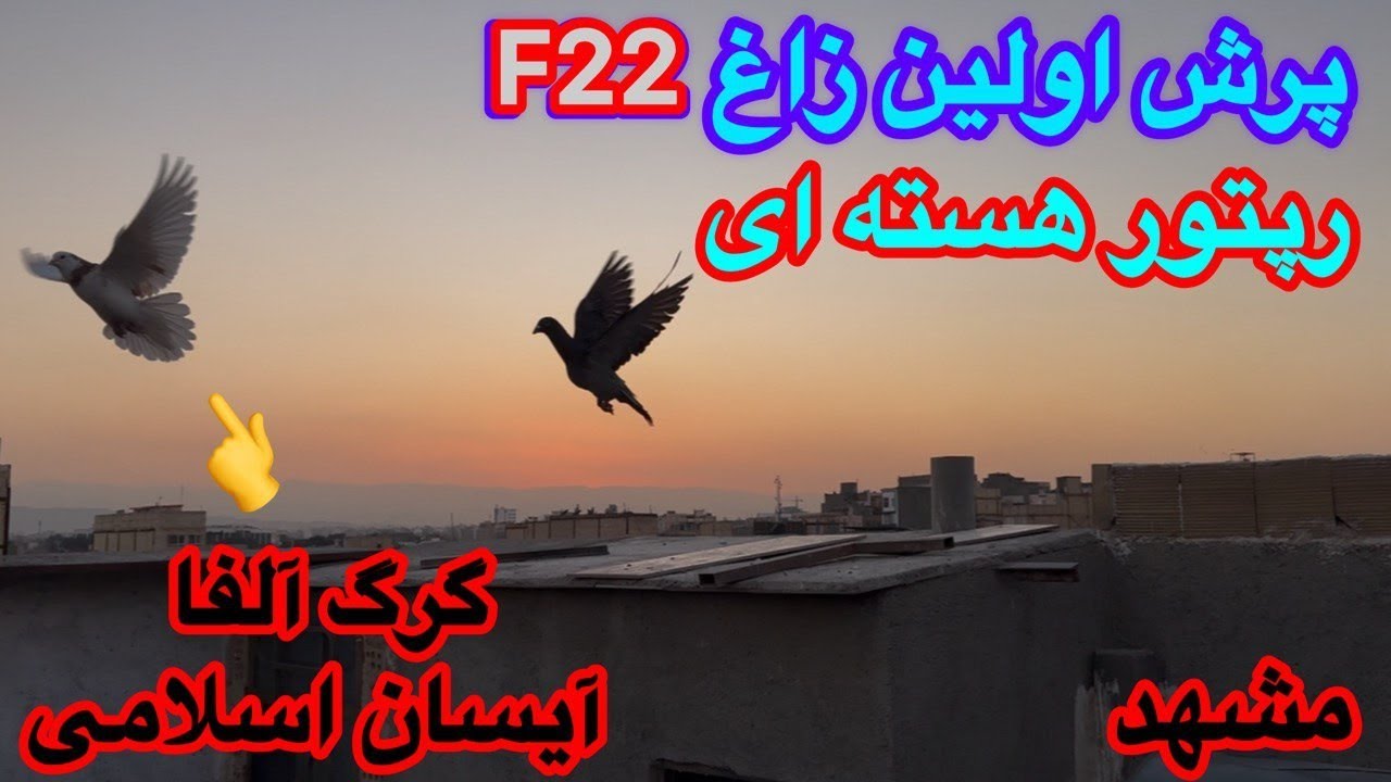 پرواز اولین نویی کبوتر زاغF22رپتور بر فراز مشهد با سوخت هسته ای