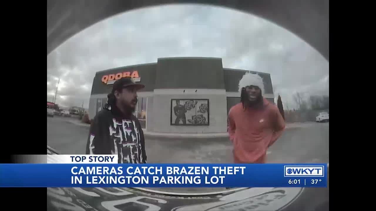 WATCH | Bold theft caught on car camera - YouTube