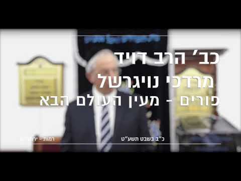 כב הרב מרדכי דוד נויגרשל - פורים - מעין העולם הבא