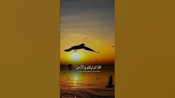 #تلاوة_مؤثرة #تلاوة_خاشعة #إسلام_صبحي  #صوت_يريح_القلب #قرآن #صلوا_علي_النبي #تلاوة_مميزة