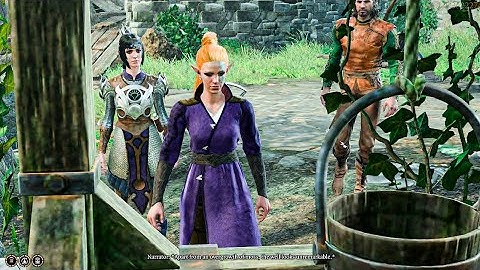 The developers knew we would try this in Baldur