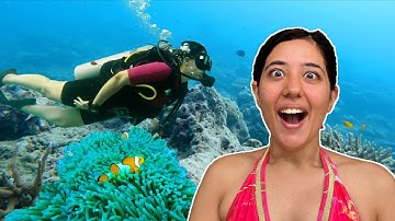 In ANDAMANS for my 3-day Basic Open Water scuba diving course! Diving in  India | Neil Island