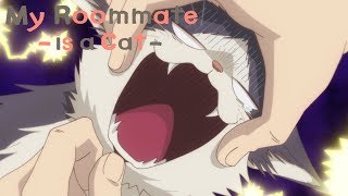 The Vet! | My Roommate is a Cat The Vet! | My Roommate is a Cat