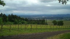 A Wine To Die For Presents Vista Hills Winery Dayton, Oregon