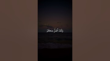 الم اعهد اليكم يا بني ادم #القارئ_شريف_مصطفى #سورة_يس #اجر_لي_ولكم