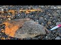 【初心者必見】サーフで魚を釣りたい君へ送るヒラメの極意 #遠州サーフ#静岡サーフ