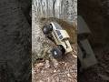 @axialvideos Coyote tree climb