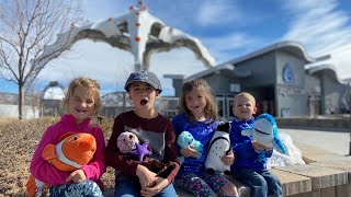 Family Fun! - Loveland Living Planet Aquarium