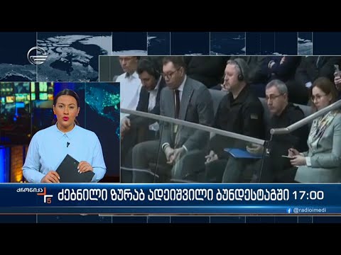 ძებნილი ზურაბ ადეიშვილი ბუნდესტაგში