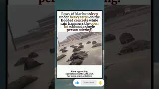 Rows of Marines sleep under heavy tarps on the flooded concrete while rain hammers #shorts