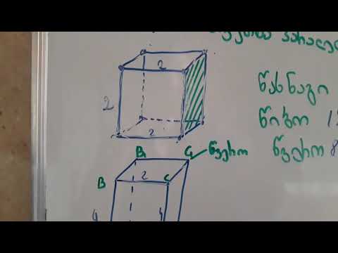 წიბო,წახნაგი და წვერო.