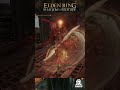 Euporia deleted Bell Bearing Hunter, Medicine Peddler's Bell Bearing lotacion #eldenring  #dlc