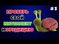 ТЕСТ НА ИНТЕЛЛЕКТ И ЭРУДИЦИЮ #3