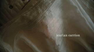 icarian ~ a project hail mary edit ⋆｡°✩