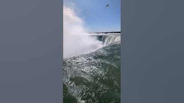Thumbnail of Am I too close?? Niagara Falls!!