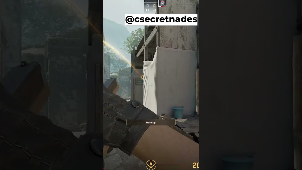 ANCIENT CAT ROOM FLASH 