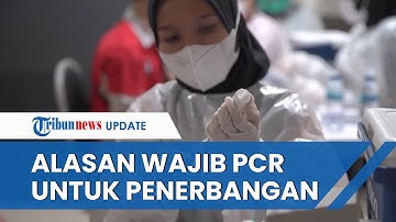 Pemerintah Wajibkan PCR Hanya untuk Penumpang Pesawat, Satgas Covid 19 Ungkap Alasan