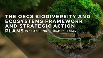 The OECS Biodiversity and Ecosystems Framework and Strategic Action Plans Webinar