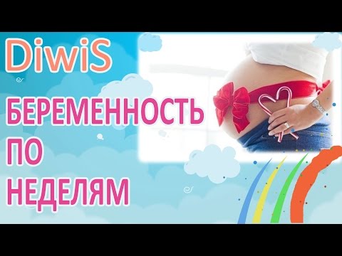 4 неделя беременности 4 неделя беременности