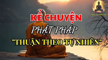 Thuận Theo Tự Nhiên – Cảnh Giới Của Trí Tuệ Thật Sự Mà Ai Cũng Có Thể Chạm Tới