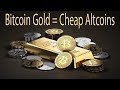 Bitcoin Gold Opens Altcoin Buying Opportunity