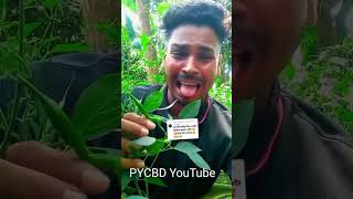 Funny Video Pat5 By Pycbd 