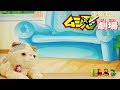 チョウチョニンとネコの巻 まれまれ ムシ忍劇場‐声優が本格アフレコ‐