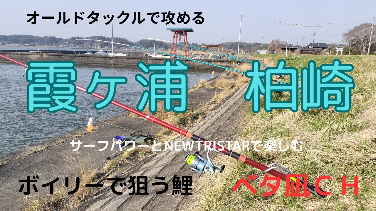 霞ヶ浦　柏崎釣行