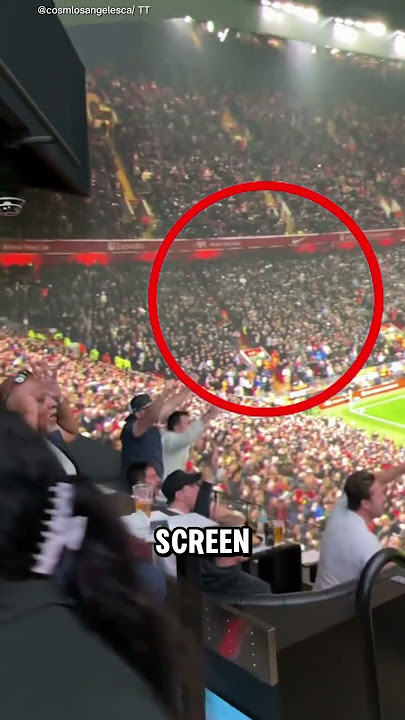 Not a Stadium, Just a Screen@cosmlosangelesca
