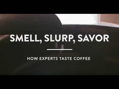 Smell, Slurp, Savor: How Experts Taste Coffee