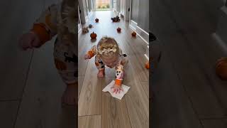 `#Shorts #FunnyBaby #ToddlerVsBug #Relatable #ParentingFails