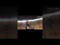 محمد العفيفي يلا برا برا 