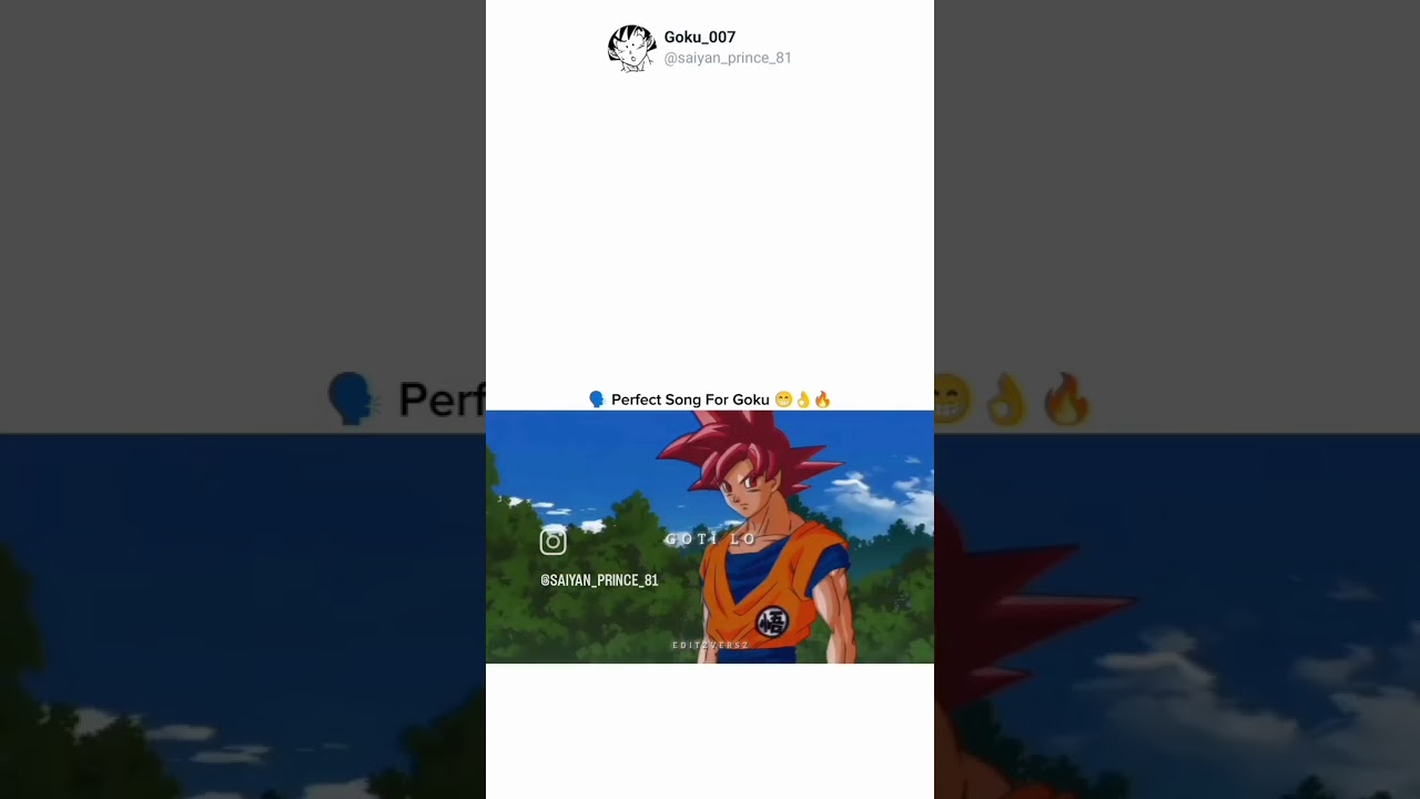 goti lo goku edition 😎