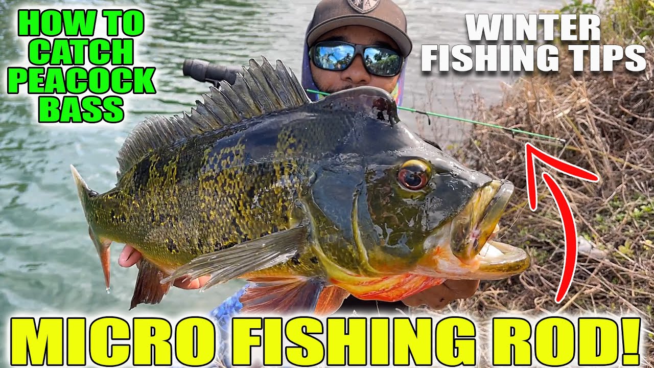 MICRO FISHING ROD! Winter Fishing Tips & How To 