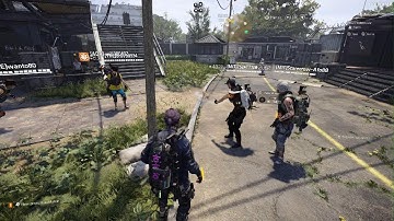 The Division 2 - funny bug