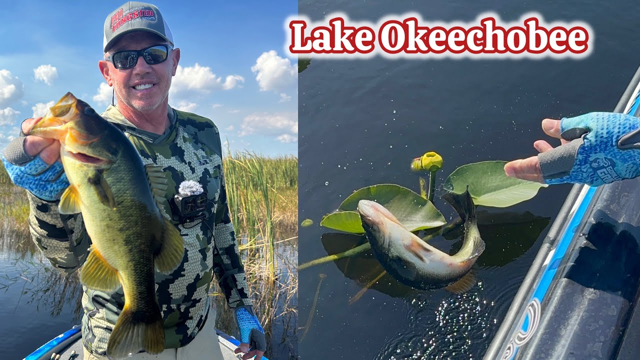 Разведка местности вокруг озера Окичоби!