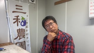 玉ねぎ高騰！なぜ？